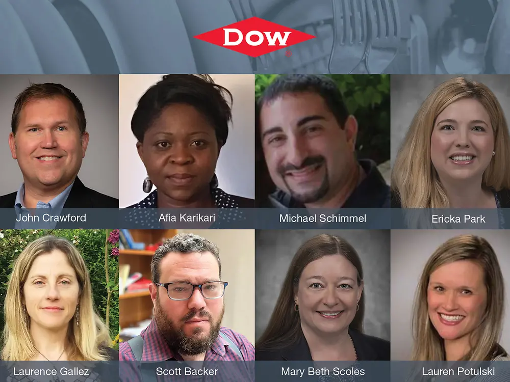 
Dow was honored as runner-up for developing a new high-performance ingredient that enables compaction and improves anti-spotting in automatic dishwashing products in North America.